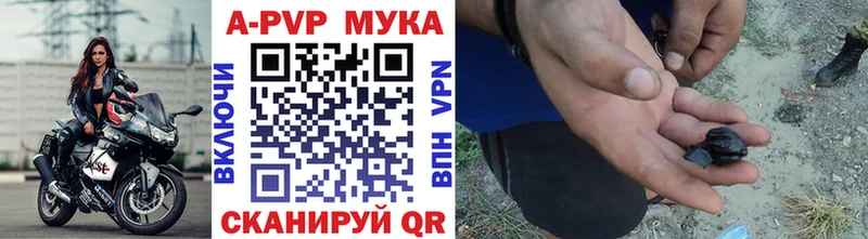 Alpha PVP крисы CK ОМГ ОМГ ссылки Олёкминск