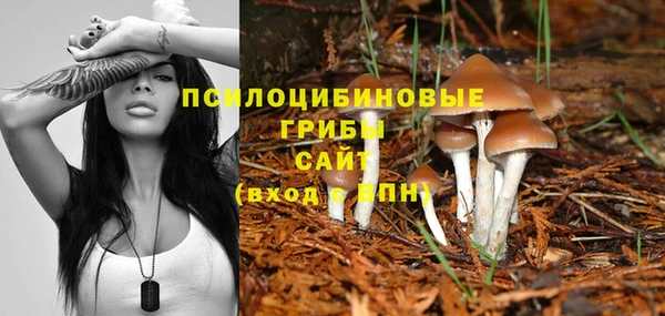 метадон Белоозёрский
