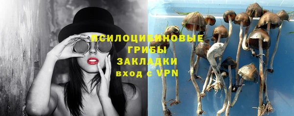 мяу мяу мука Беломорск