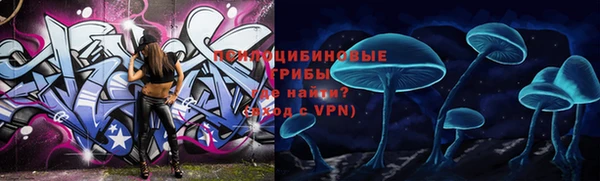 МДПВ Белокуриха